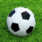 Soccer Manager: Superstar'ınızı oluşturun PC