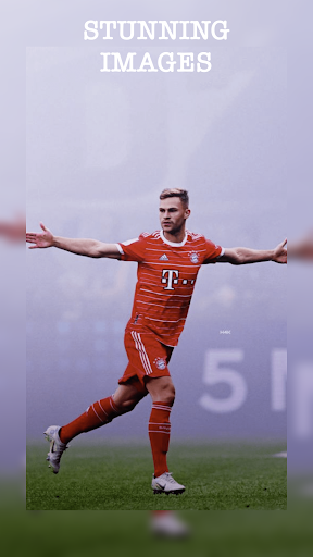 FC Bayern Hintergrundbilder PC