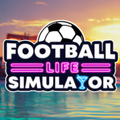 Football Life Simulator