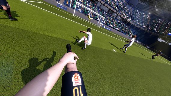 Football Life Simulator ?? ??