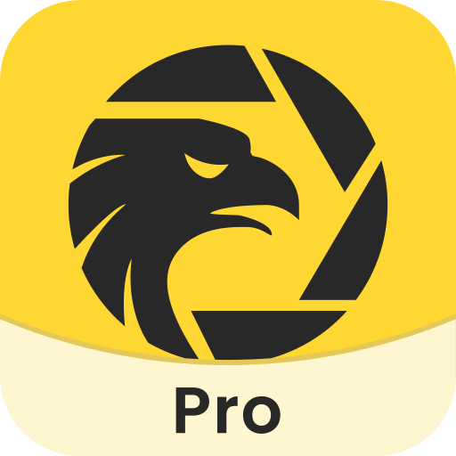 WikiFX-Broker Regulatory APP PC