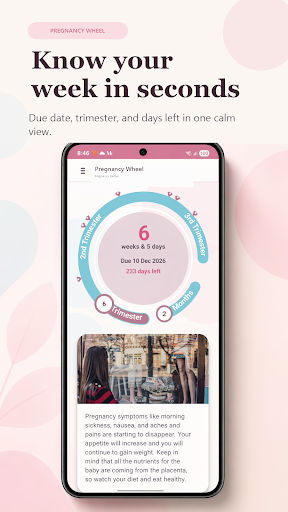 Fetal Pregnancy Tracker PC