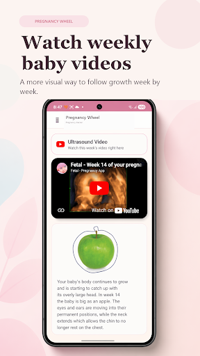 Fetal Pregnancy Tracker PC
