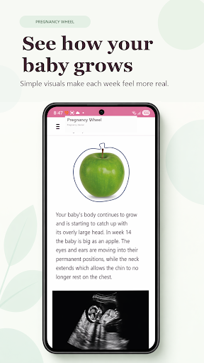 Fetal Pregnancy Tracker PC