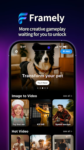 Framely: AI Video Generator پی سی