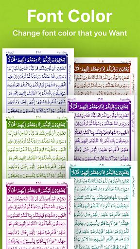 Quran Majeed - 13 Line Quran PC