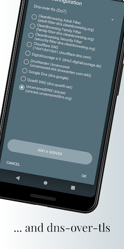 Nebulo - DNS Changer DoH/DoT پی سی