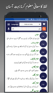 Offline Urdu Lughat Dictionary پی سی