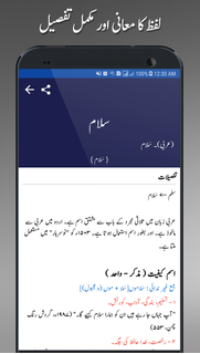 Offline Urdu Lughat Dictionary پی سی