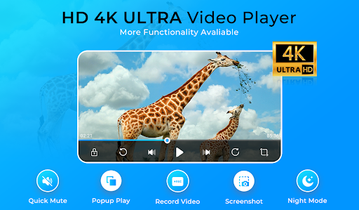 HD Video Player All Format PC