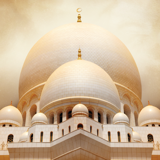 Sheikh Zayed Grand Mosque پی سی