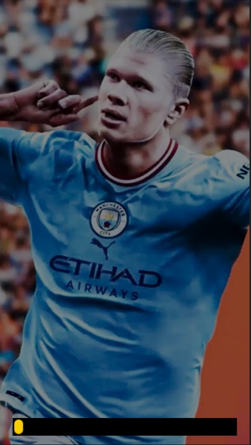 EA Sports FC 24 Football PC