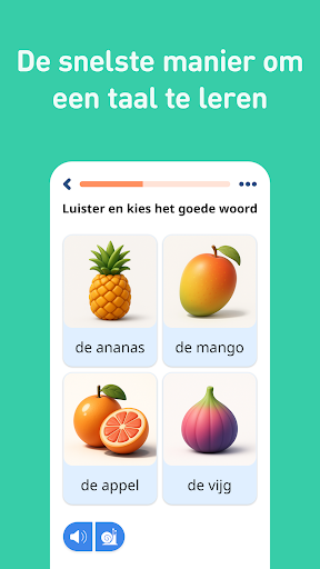 Nederlands leren PC