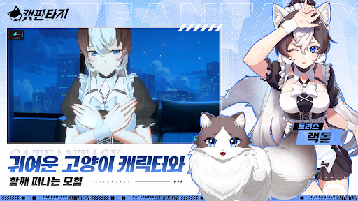 캣 판타지 - 300뽑기 증정 PC