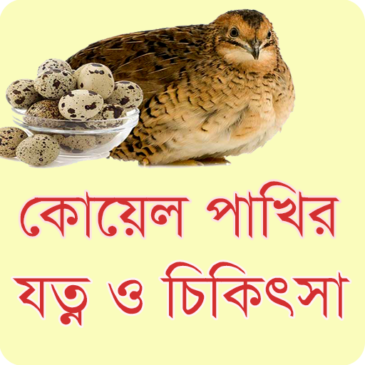 কোয়েল পাখির যত্ন ও চিকিৎসা - ক পিসি