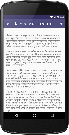 কোয়েল পাখির যত্ন ও চিকিৎসা - ক পিসি