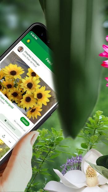 PlantSnap - Identify Plants, Flowers, Trees & More PC