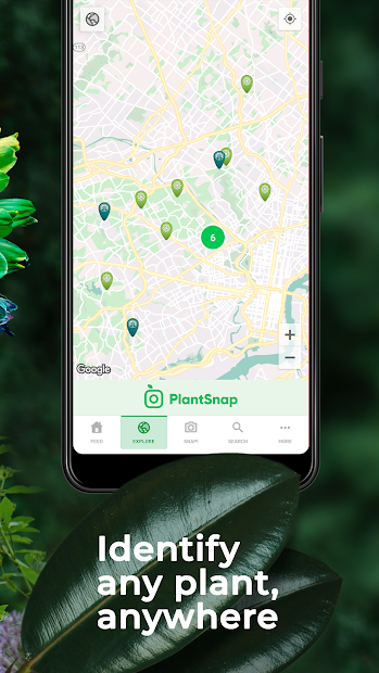 PlantSnap - Identify Plants, Flowers, Trees & More PC
