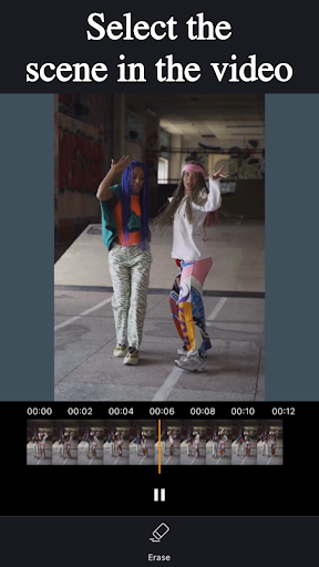 CutVibe: Video Object Eraser PC