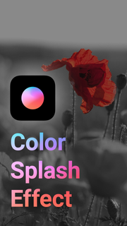 Color Splash Effect