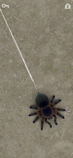 CAT ALONE 2 - Cat Toy PC