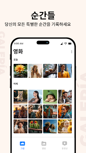 갤러리 PC