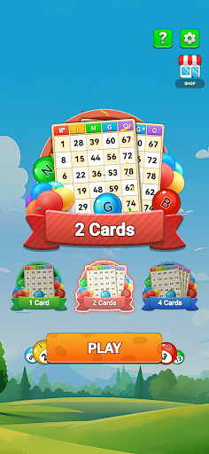komputer Bingo Mania: Lucky Win