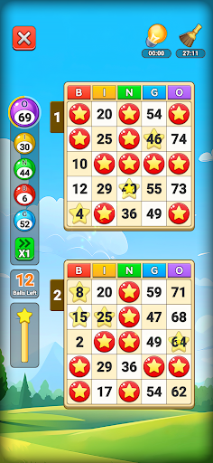 komputer Bingo Mania: Lucky Win