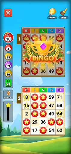komputer Bingo Mania: Lucky Win