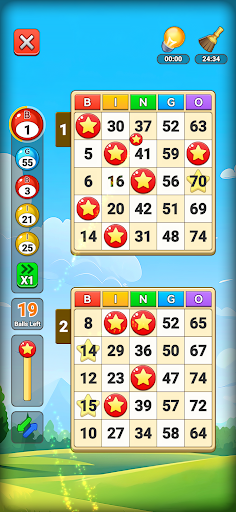 komputer Bingo Mania: Lucky Win