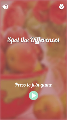 Spot The Differences 500 Photo PC