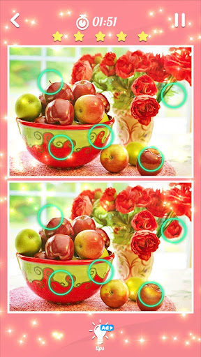 Spot The Differences 500 Photo PC