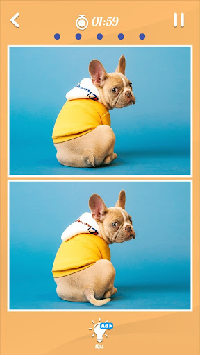 Spot The Differences 500 Photo PC