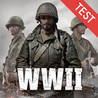 World War Heroes Test PC