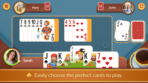 Rummy - Fun & Friends PC