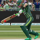 World Champions Cricket Games PC