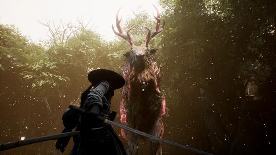 Beast of Reincarnation PC