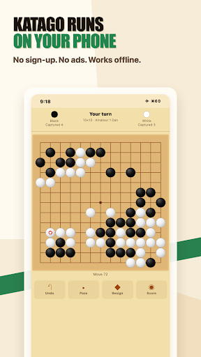 Go AI: KataGo Offline Trainer