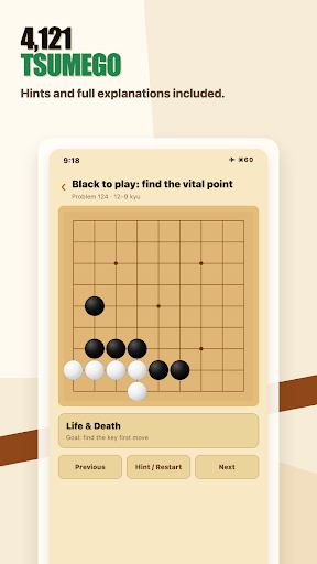 Go AI: KataGo Offline Trainer