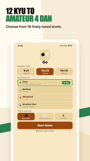 Go AI: KataGo Offline Trainer