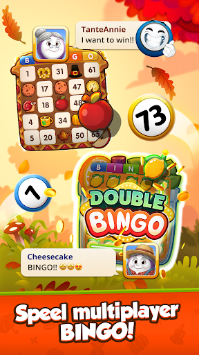 GamePoint Bingo, Speel Bingo PC
