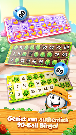 GamePoint Bingo, Speel Bingo PC