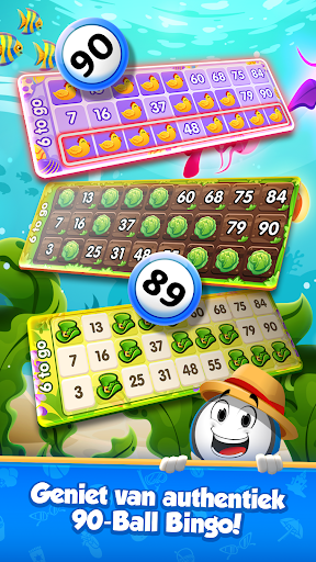GamePoint Bingo, Speel Bingo PC