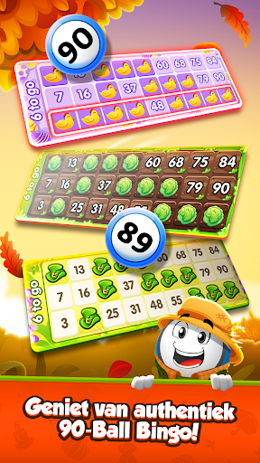 GamePoint Bingo, Speel Bingo PC