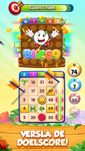 GamePoint Bingo, Speel Bingo PC