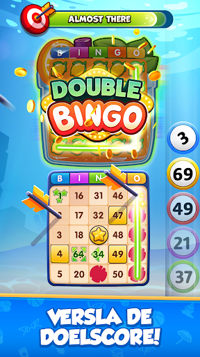 GamePoint Bingo, Speel Bingo PC