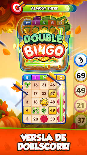 GamePoint Bingo, Speel Bingo PC