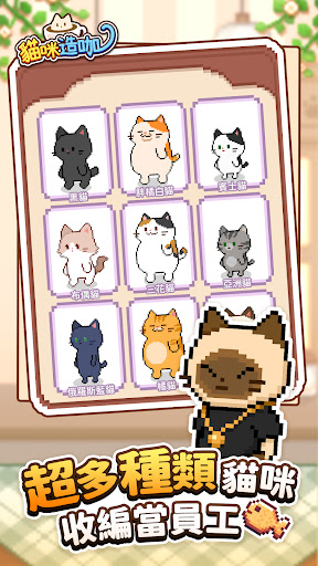 貓咪造咖－有故事的貓咪咖啡廳CAT CAFE