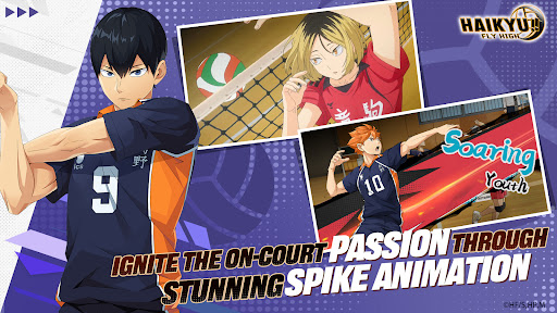 HAIKYU!! FLY HIGH پی سی