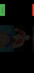Game3D Boxing Champion Ship PC
